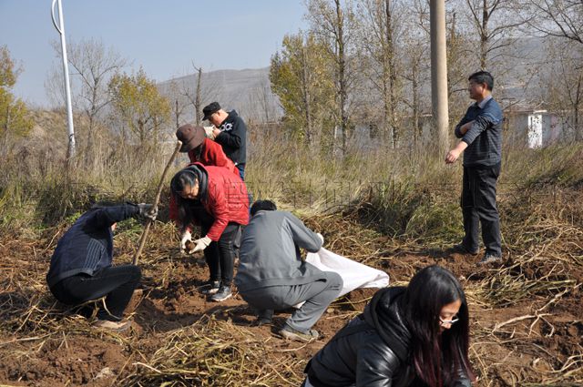 數顯式萬能試驗機軟件升級為伺服式