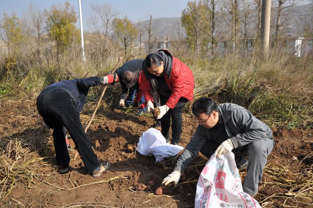 數顯萬能材料試驗機升級為屏顯萬能機